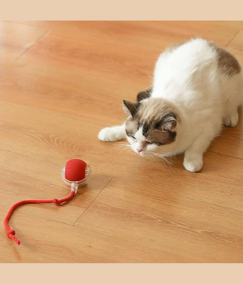 KRAMOX Pet Ball Automatic Toy - Cat/Dog Dancing Toy for Indoor Smart Silicone Rolling Ball with Tail, Obstacle Avoidance and Motion Activated,Kitten Toys for Bored Indoor view 6