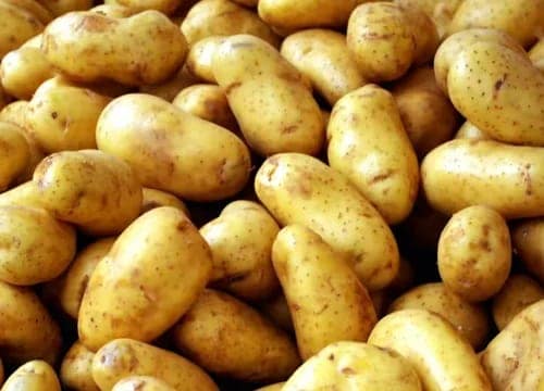 Potato view 3