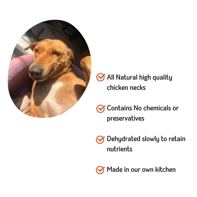 Nuts over Mutts Chicken Neck Dehydrated. Single Ingredient dehydrated Treat. All-Natural, no preservatives, no Chemicals. 1 Pack (140 gm) view 5