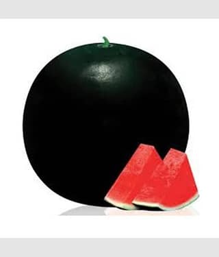 PARTHVA SEEDS Black Watermelon Fruit ( 50 Seeds )