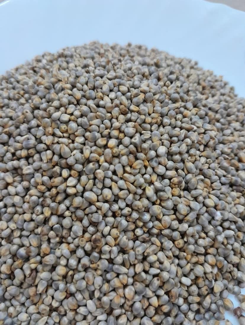 Pearl Millet (Bajra) | Nutritious Whole Grain | Everyday Cooking