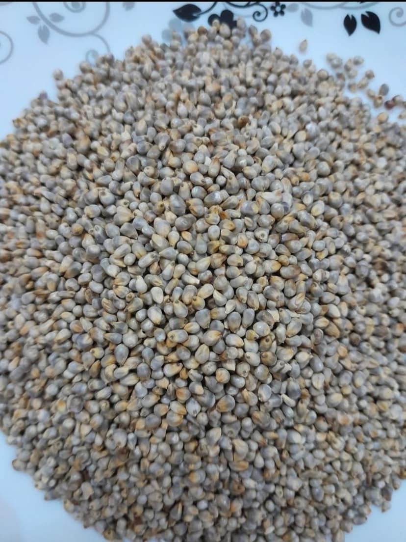 Pearl Millet (Bajra) | Nutritious Whole Grain | Everyday Cooking view 2