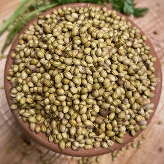 coriander