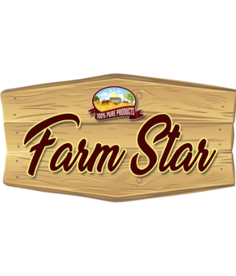 Farm Star Tasty Lisoda Gunda Fruit Pickle 400 g view 3