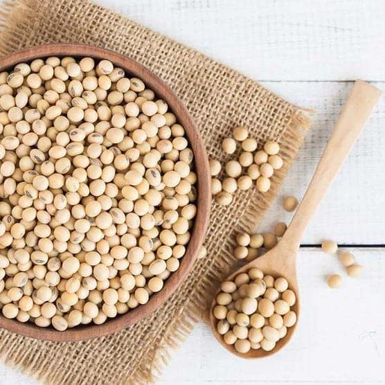 soybean view 2