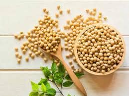soybean view 3