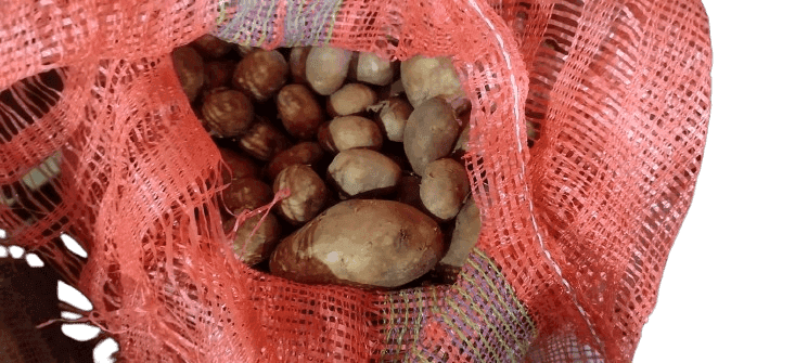 Fresh Potatoes view 2