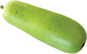Bottle Gourd 1 pc