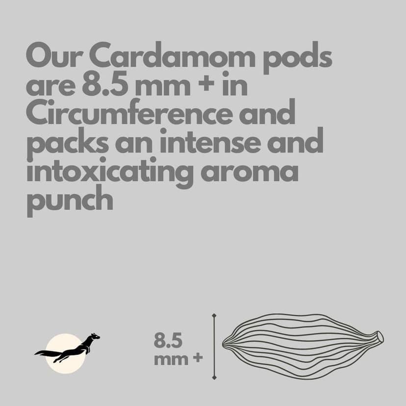 Nilgiri Marten Idukki Cardamom (Elaichi), 40g (Pack of 20g x 2), 8.5 MM+ Cardamom pods view 4