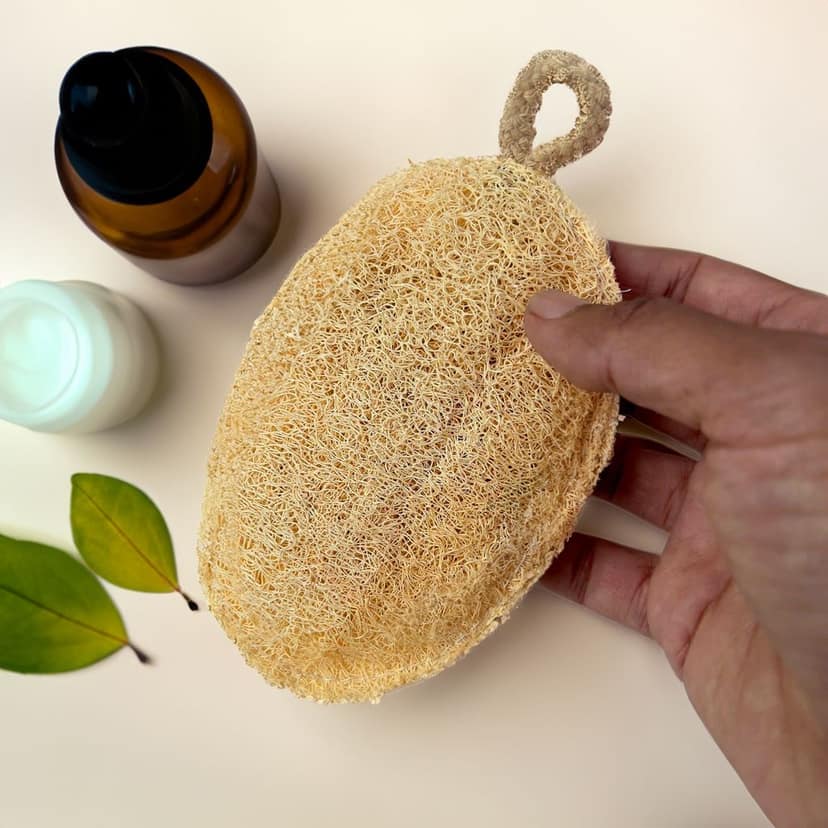 Careberry's Eco Friendly Organic Loofah | Gentle Exfoliator Sun Dried Luffa | Hypoallergenic Bath Sponge | Ideal Daily Body Wash Scrub | Sustainable Bathroom Essentials view 3