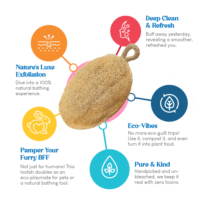 Careberry's Eco Friendly Organic Loofah | Gentle Exfoliator Sun Dried Luffa | Hypoallergenic Bath Sponge | Ideal Daily Body Wash Scrub | Sustainable Bathroom Essentials view 4