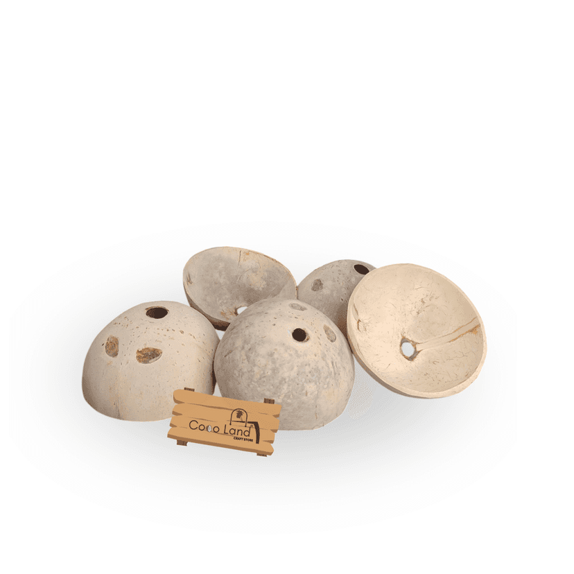 Coco Land White Holed Coconut Shell Finished Raw Craft | Decorative Pots,Craft Making | Handicraft,Agricraft