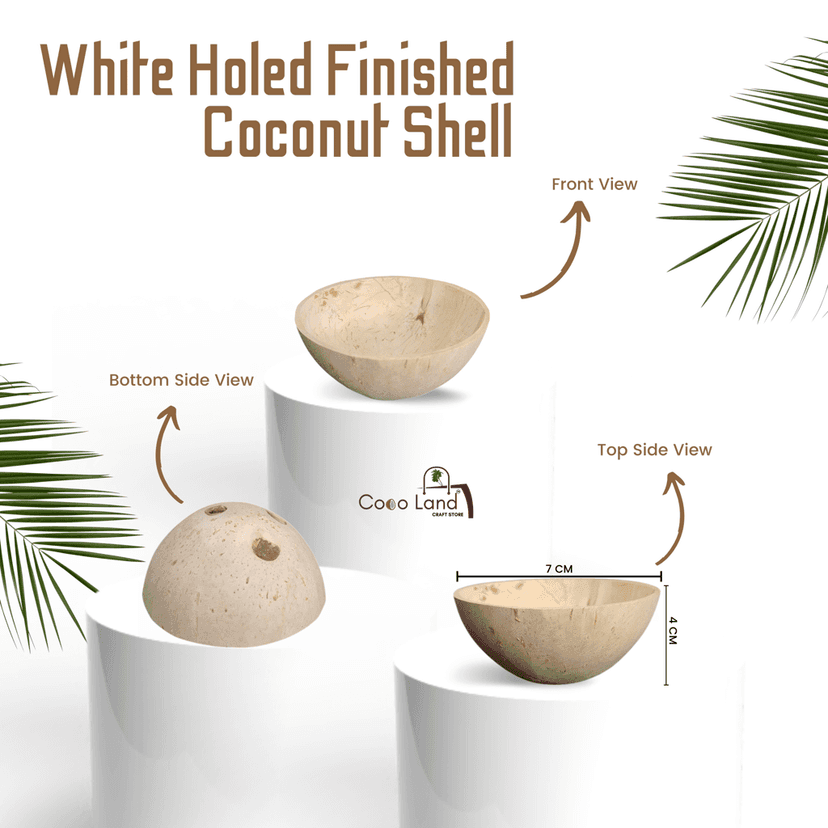 Coco Land White Holed Coconut Shell Finished Raw Craft | Decorative Pots,Craft Making | Handicraft,Agricraft view 2