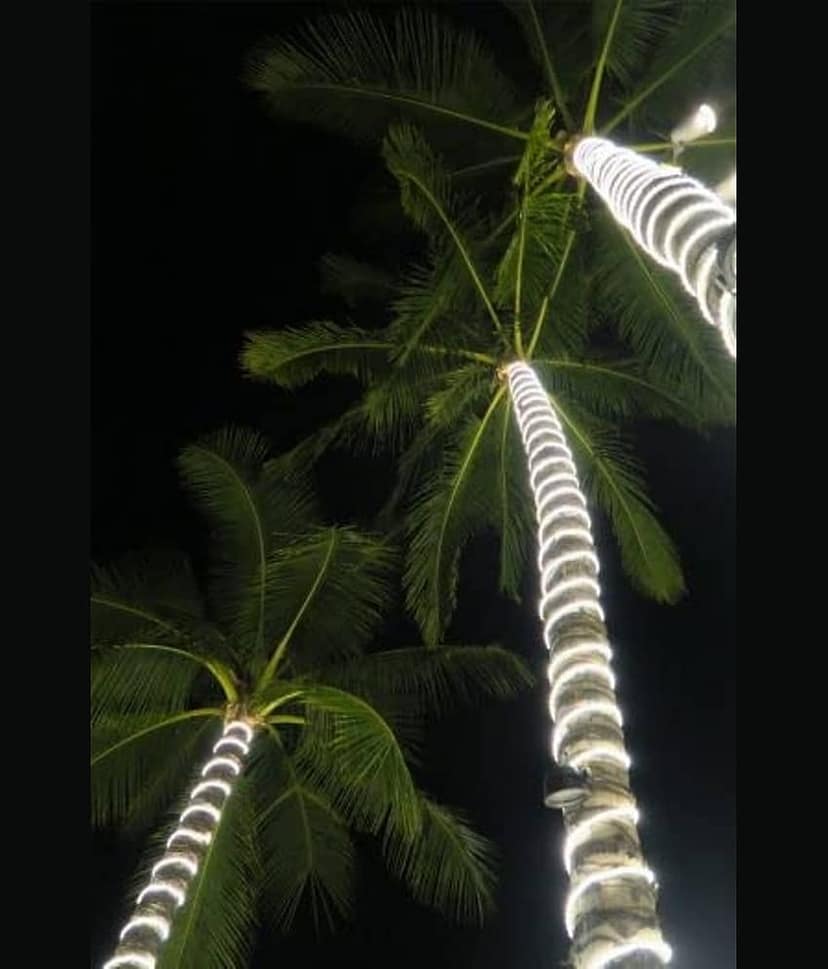 DAJUBHAI - Green 15Mtr LED Strip ( Pack of 1 ) view 2