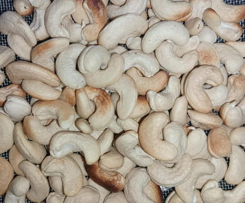 Oil Free Roasted and Salted Cashew view 3