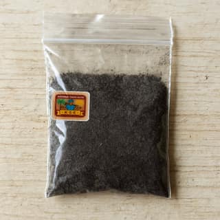 Khandei Sahu Elite's black salt powder