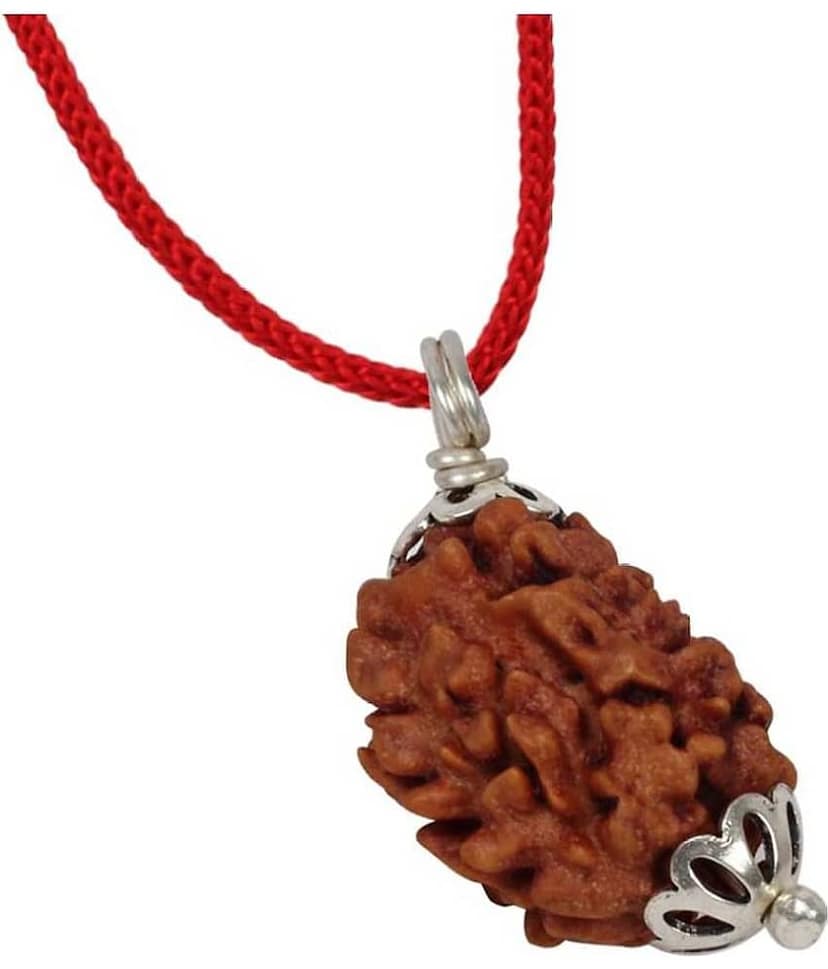 Astrodidi 3 Mukhi Rudraksha (Lab Certified)