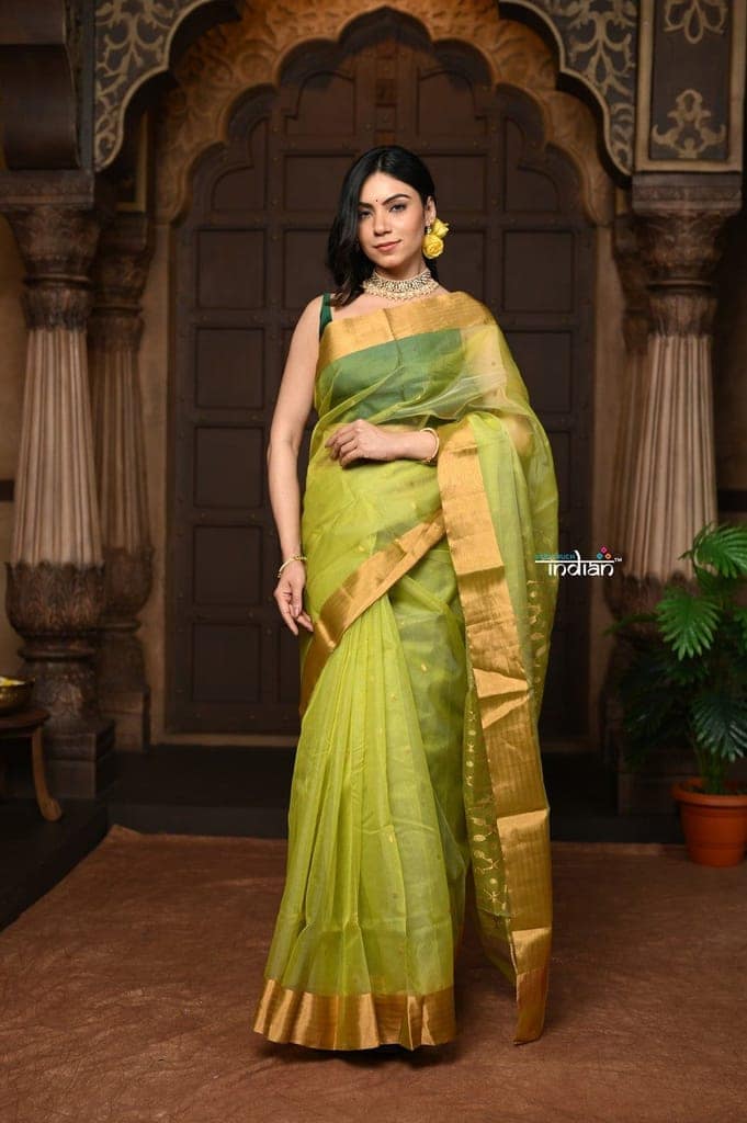 Parampara ~ Pure Silk Chanderi Saree in Exclusive Green with Golden Border view 2