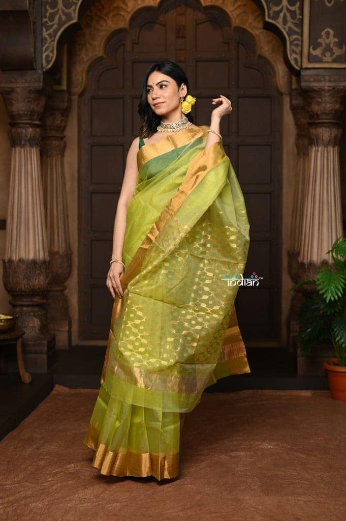 Parampara ~ Pure Silk Chanderi Saree in Exclusive Green with Golden Border view 3