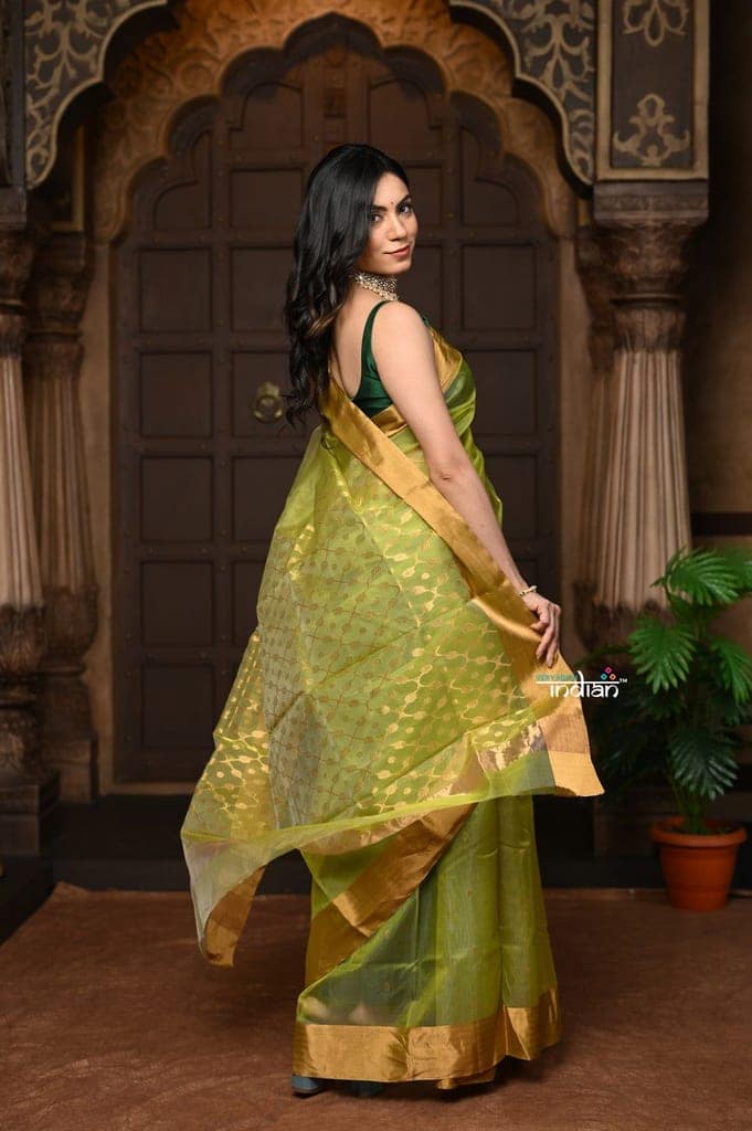 Parampara ~ Pure Silk Chanderi Saree in Exclusive Green with Golden Border view 4
