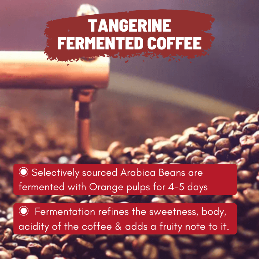 Tangerine: Orange Fermented Coffee view 3