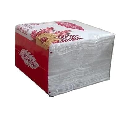 Divatos Tissue Paper Napkins I Soft And Highly Absorbent I 100 Pcs Per Packet | Ideal for Restaurants Cloud Kitchen & Takeaway Breakfast Dinner & Lunch Table I (Set of 5 Packet) White