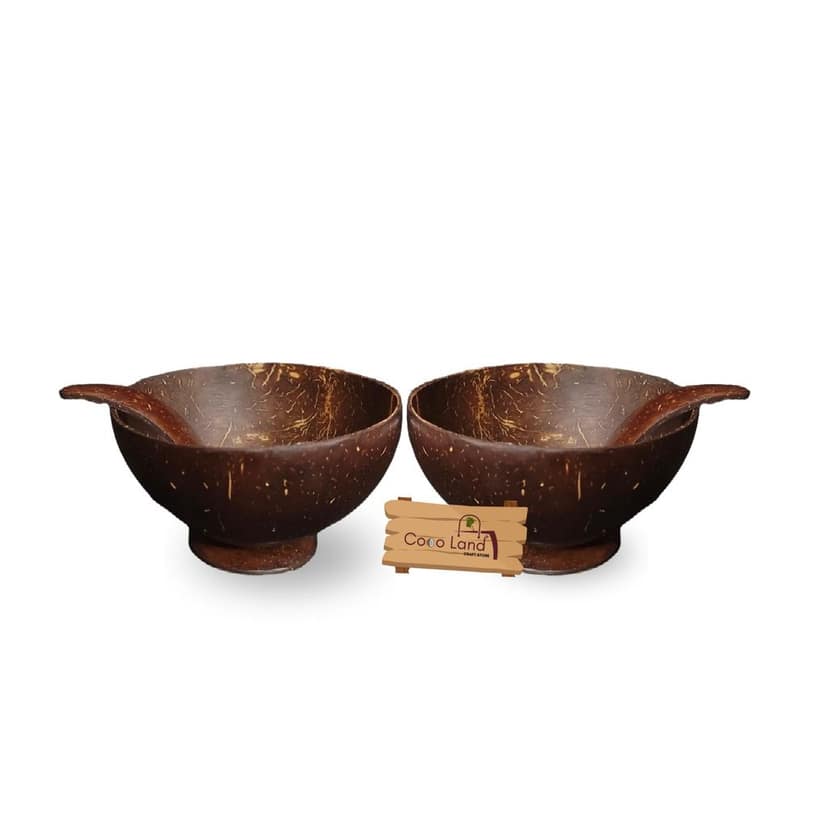 CocoLand Coconut Shell Ice Cream Pot Large Size 250 ml