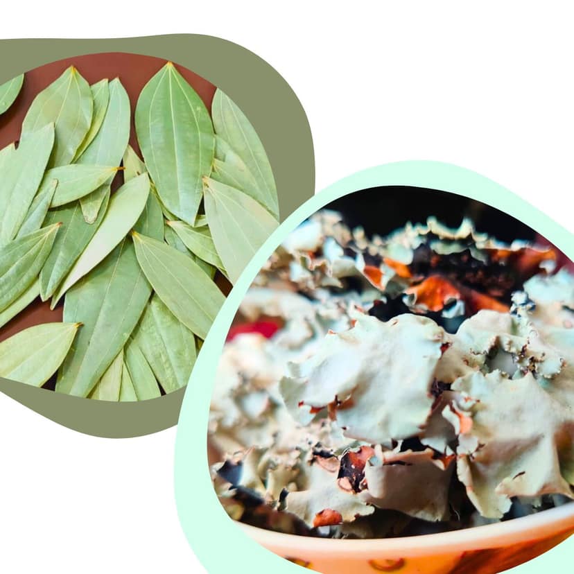 Masala Mundi Stone flower (50gms) and Bay Leaves Handpicked & Stem cut (20 grams)