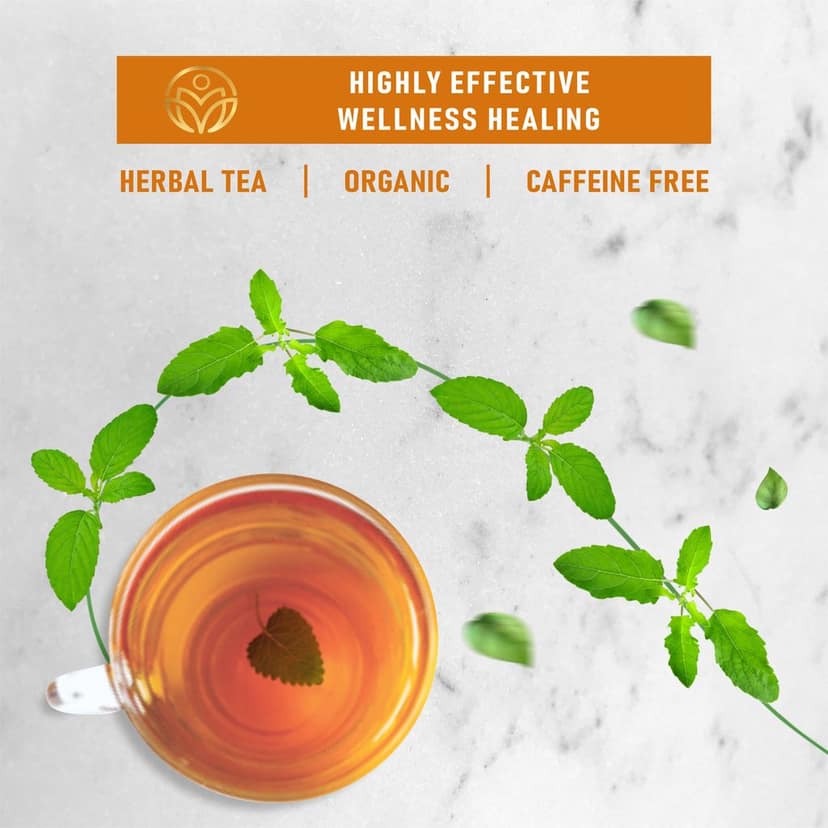 True Nirvana Ginger Tulsi Tea - Stress Relieving & Rejuvenating view 3