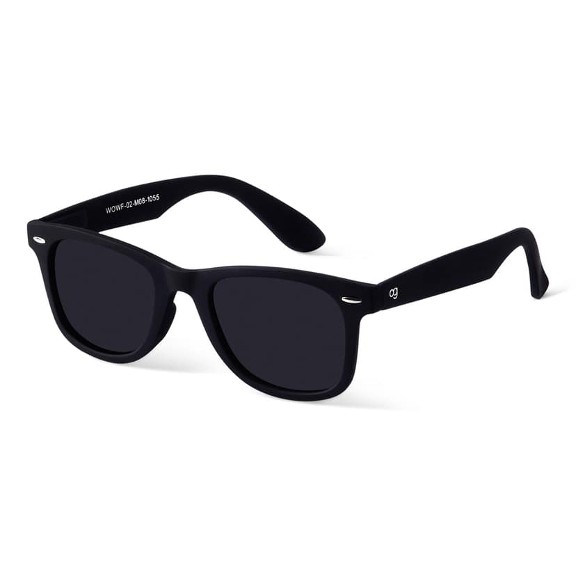 Polarized Wayfarer Sunglasses