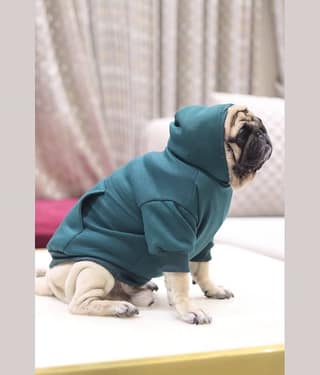 Baeship Studio Black Cotton Dog Large Jacket