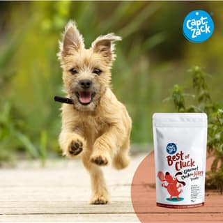 Capt Zack Best Of Cluck Gourmet Chicken Jerky Treats 70 Gms