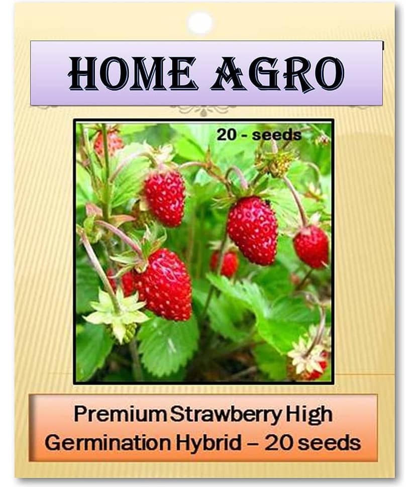 HN organic seed - Fruit Seeds ( 20 )