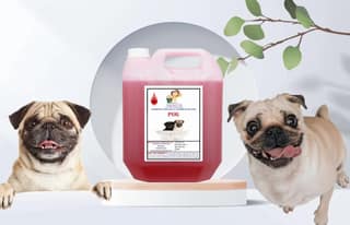 SWACCH Shampoo Specially FORMULATED for Pug (10 Litre) Jasmine