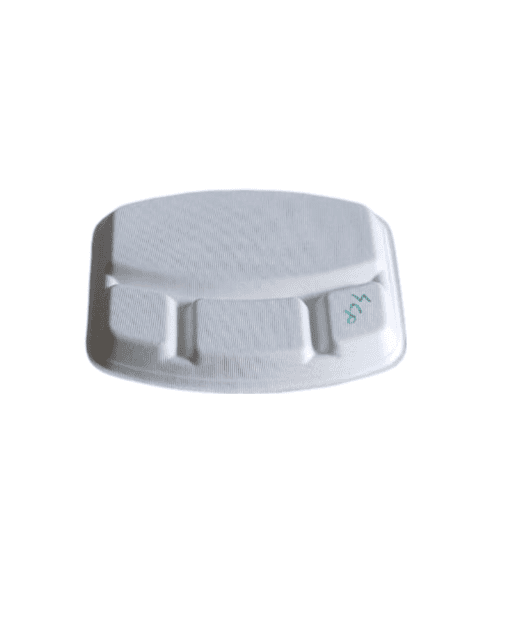 "Biodegradable Disposable 3 Compartment Foam Plate | Eco-Friendly Dinnerware"pack of 10 view 2