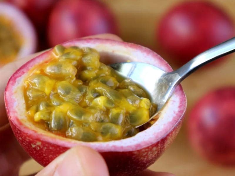 Passion Fruit Squash view 6