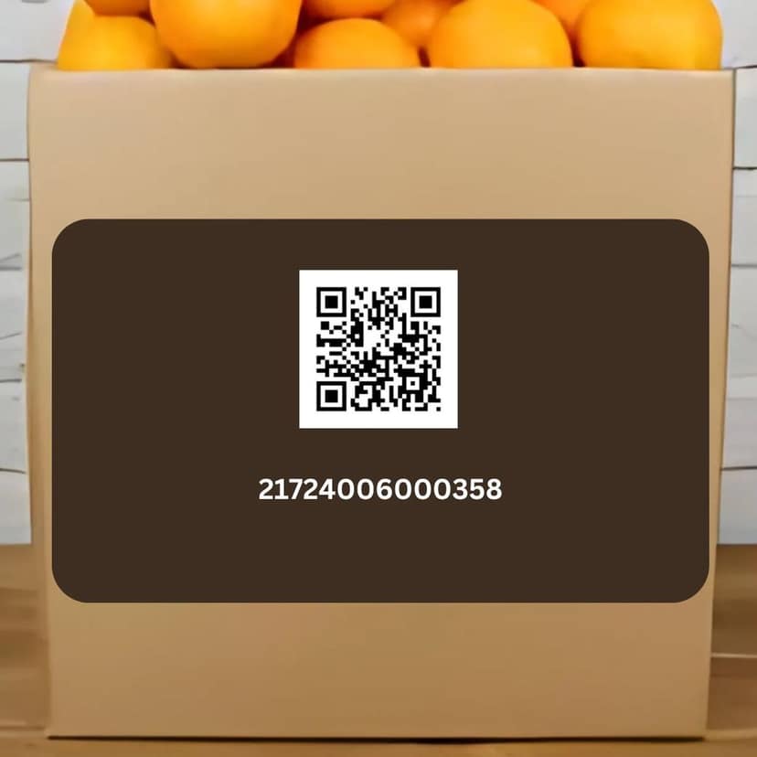 Orange view 3