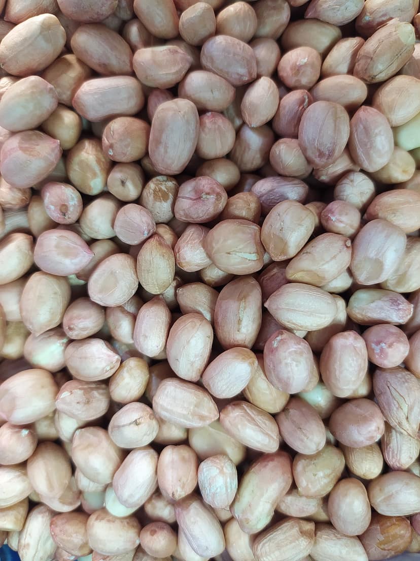 peanut