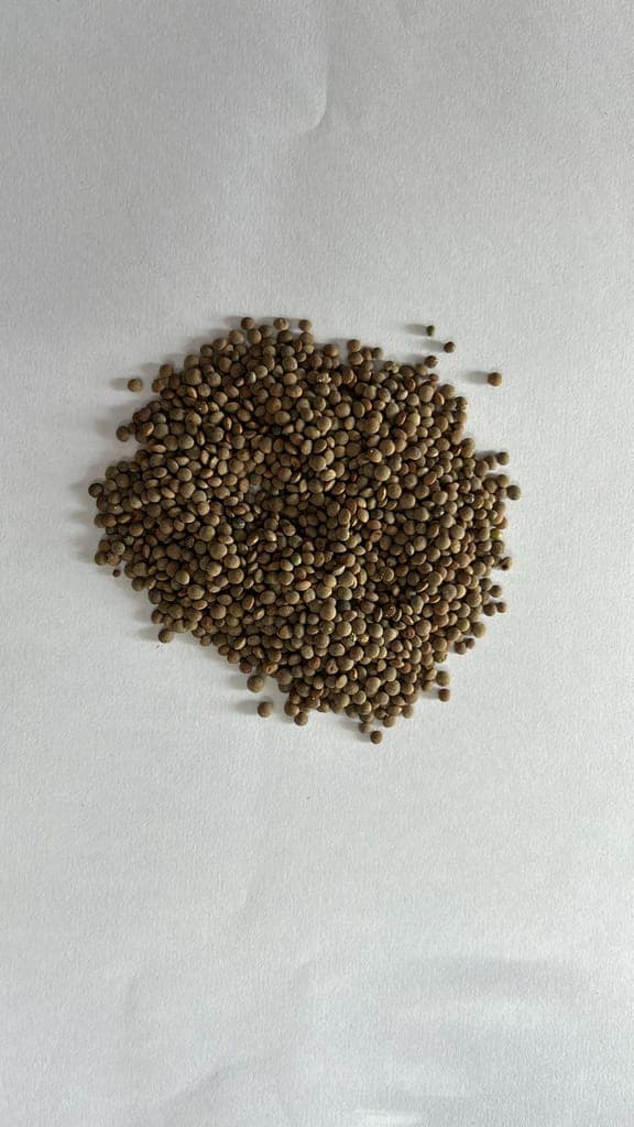 Desi Masoor Dal (Black Lentils) view 3