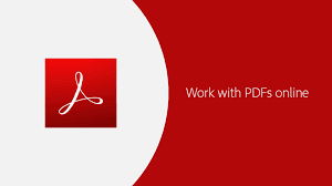 Adobe PDF view 3
