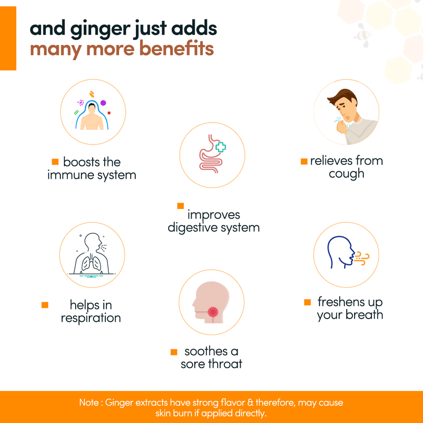 Pour Naturale Honey: Ginger Flavoured Honey| Pure Natural Honey Infused with Natural Ginger | Helps breathe better, build immunity| Glass Jar (250gm) view 4