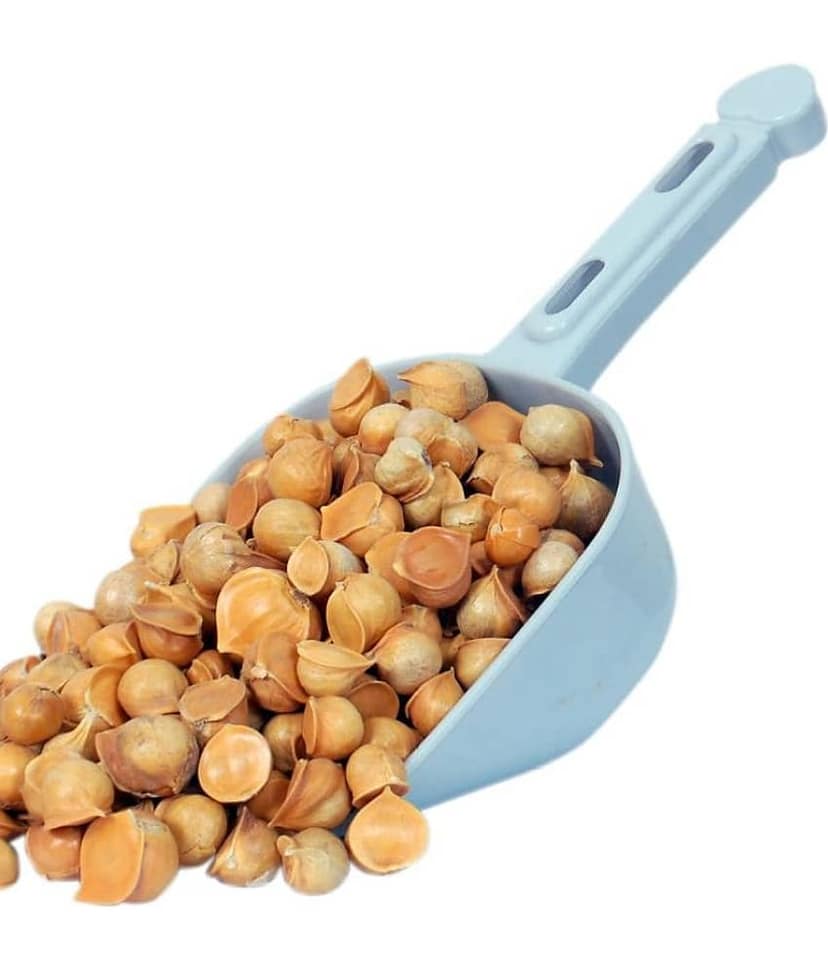 MYGODGIFT Kashmiri LEHSUN,KASMIRI LASSAN | Indian Mountain Single Clove Garlic 50 gm view 3