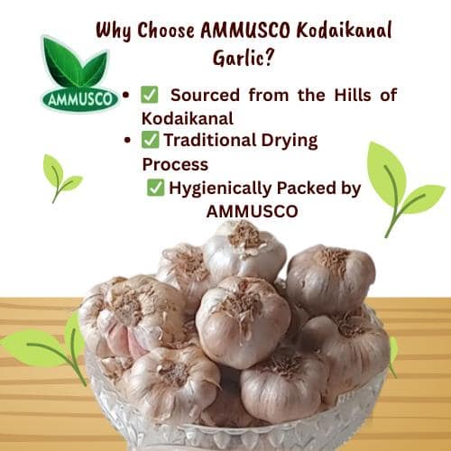 AMMUSCO Premium Kodaikanal Hill Garlic – Natural Whole Garlic Bulbs High Aroma Farm Fresh Quality
