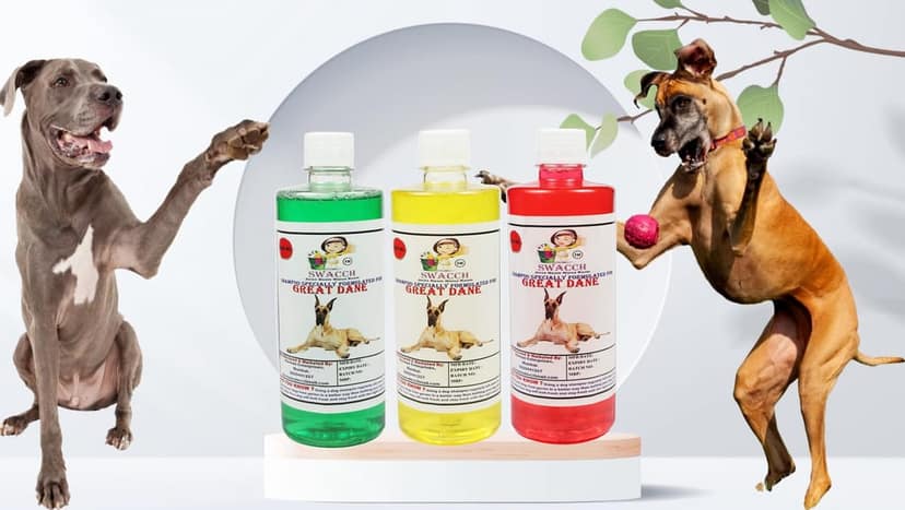 Swacch Shampoo Specially Formulated for Great DANE (500ML) (Combo Pack of 3) Neem Alovera, Lemon & Jasmine