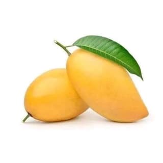 Kesar Mango - Aam 1 Pcs