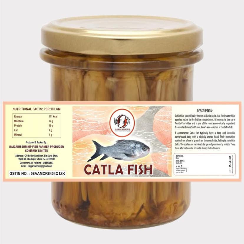 Catla Fish - No head 1 Kg view 2