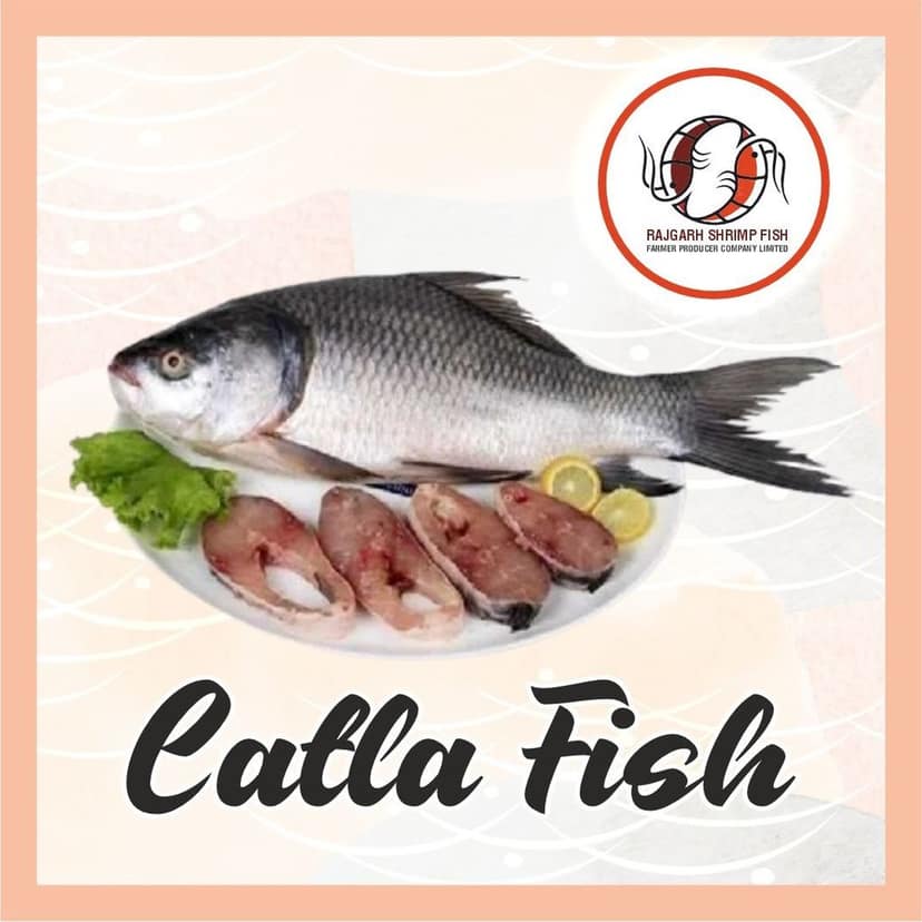 Catla Fish - No head 1 Kg view 3