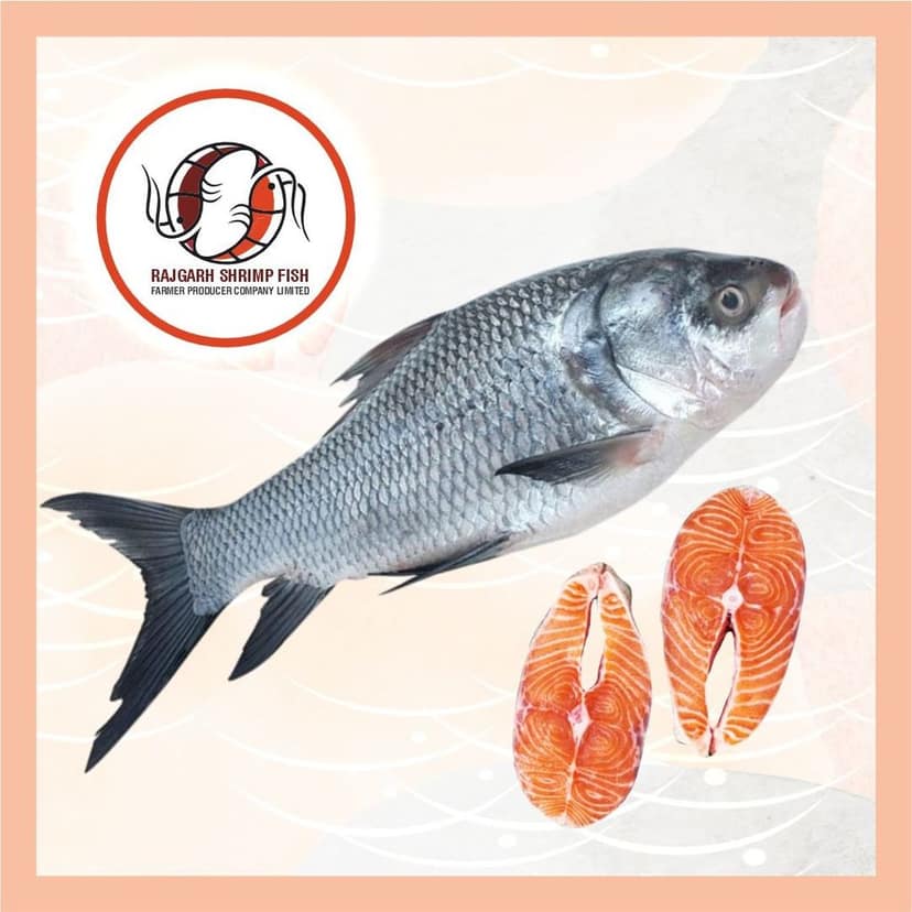 Catla Fish - No head 1 Kg view 7