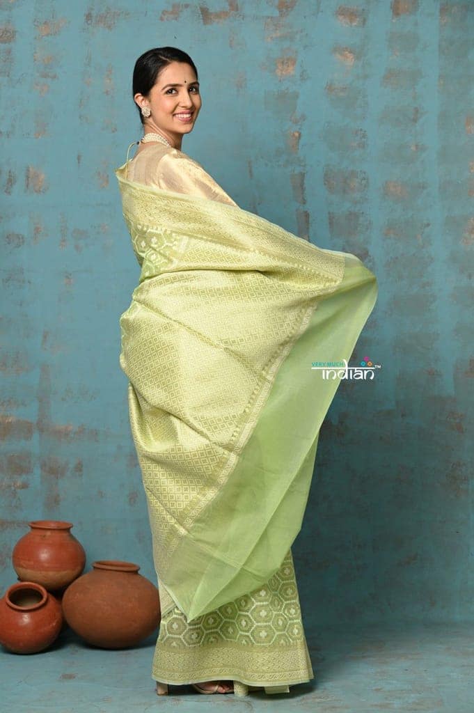 Tejaswi ~ Exclusive High Quality Handloom Banarasi Cotton Saree with Beautiful Abstract Print- Honeydew Green view 3