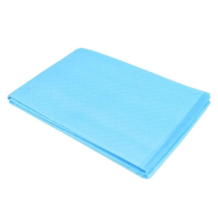 A Care Touch Adult Underpads 10 Count Size (60 x 90Cm) Highly Absorbent, Leak-Resistant, Leak Proof, Soft and Comfortable Incontinence Protection for Bed and Furniture (Pack of 1) view 2